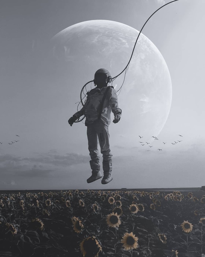 Noir